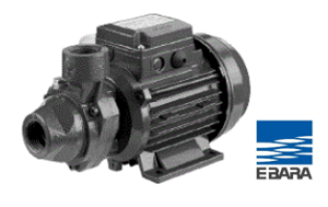 EBARA – CAST IRON VOLUTE PUMP รุ่น PRA