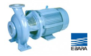 EBARA – CAST IRON VOLUTE PUMP รุ่น FSD