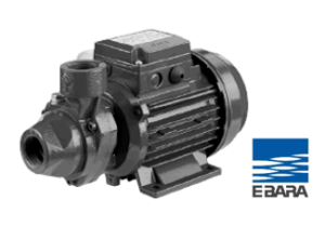 EBARA – CAST IRON VOLUTE PUMP รุ่น PRA